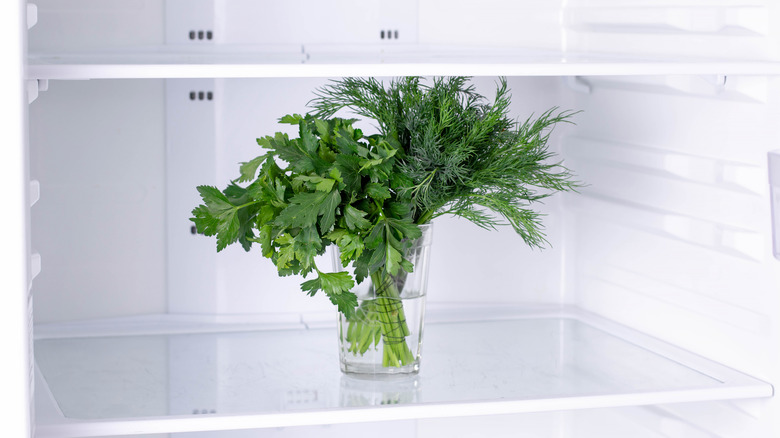 herbs in water in a jar in fridge