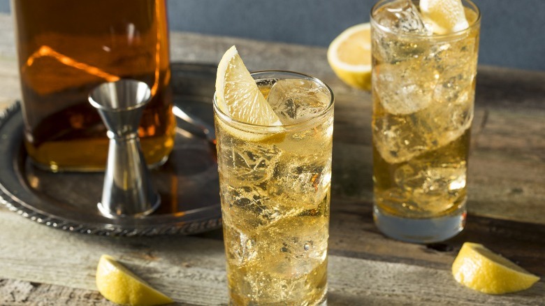 Bourbon Highball Cocktail