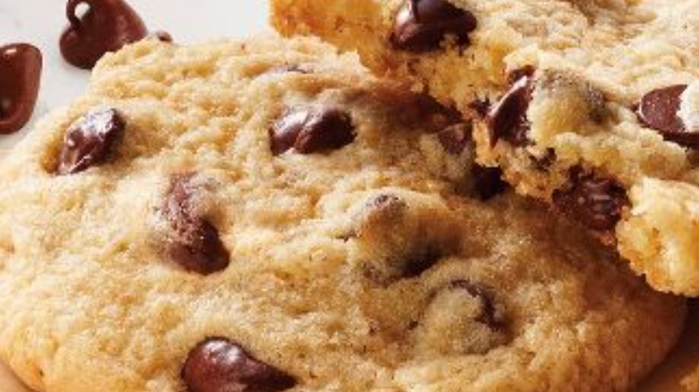 Chocolate chip cookie close up 