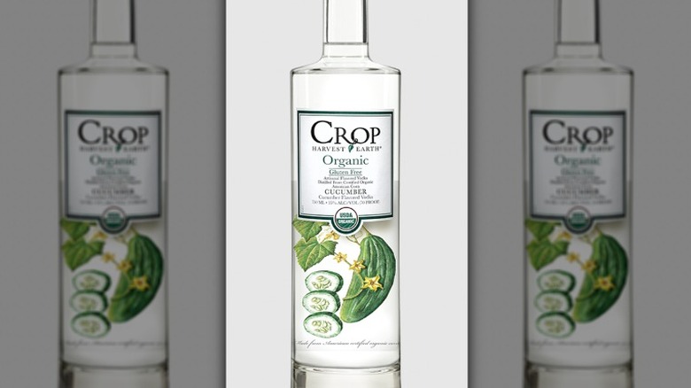 Crop Cucumber vodka bottle