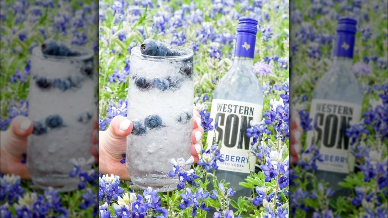 Western Son Blueberry vodka drink