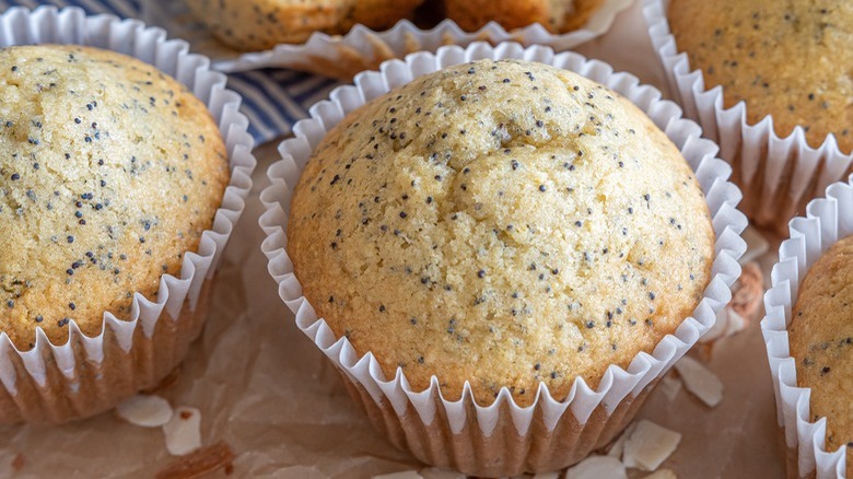poppyseed muffins in paper wrappers
