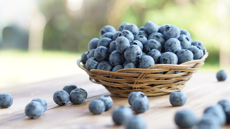 Basket of blueberries