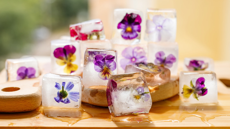 edible flowers in ice cubes