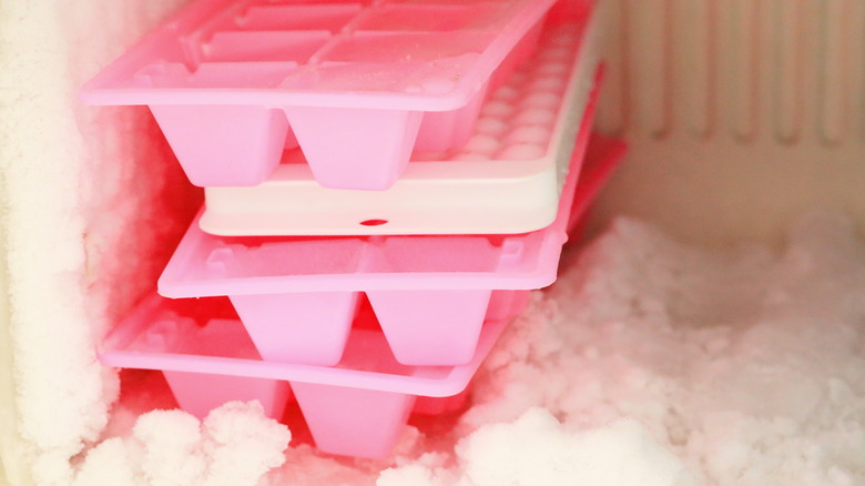 ice cube trays in freezer