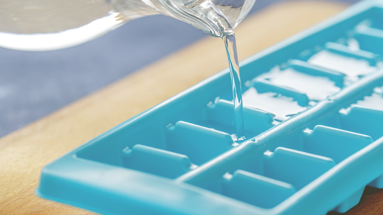 ice cube tray with water jug