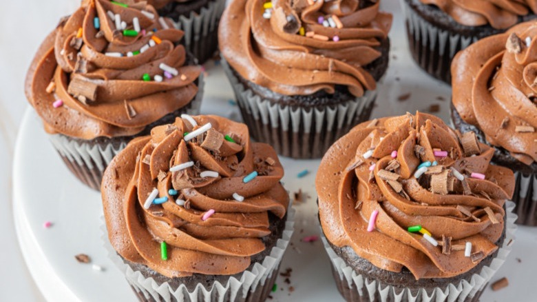 chocolate-frosted chocolate cupcakes