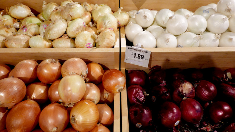 yellow, red, sweet and white onions in store