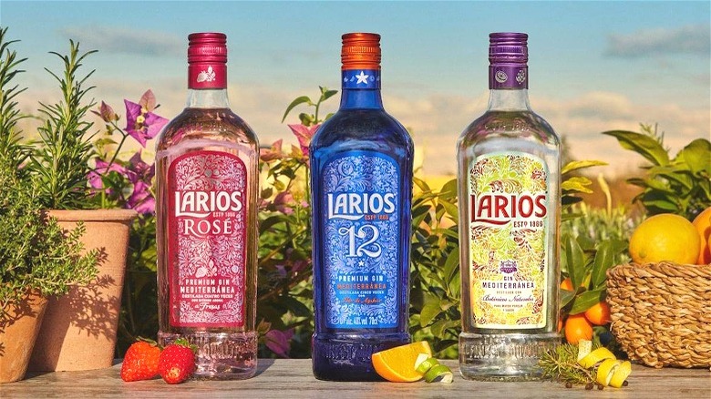 Larios Gin bottles