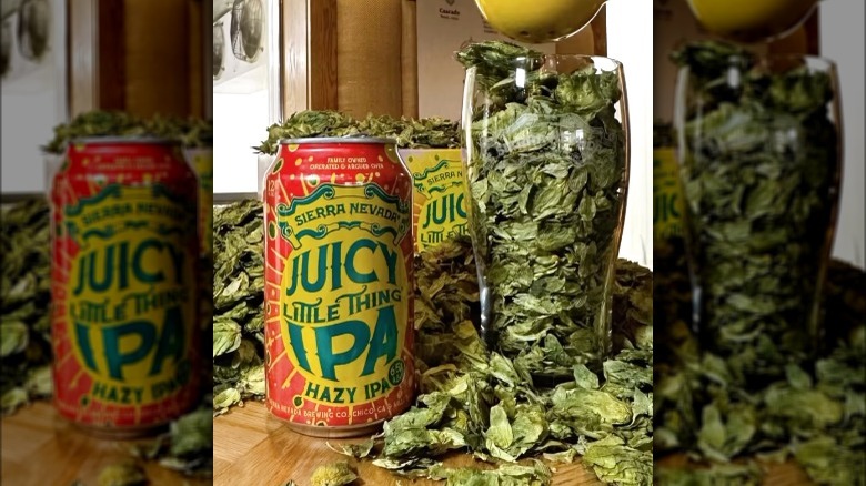 Sierra Nevada Juicy Little Thing can glass hops
