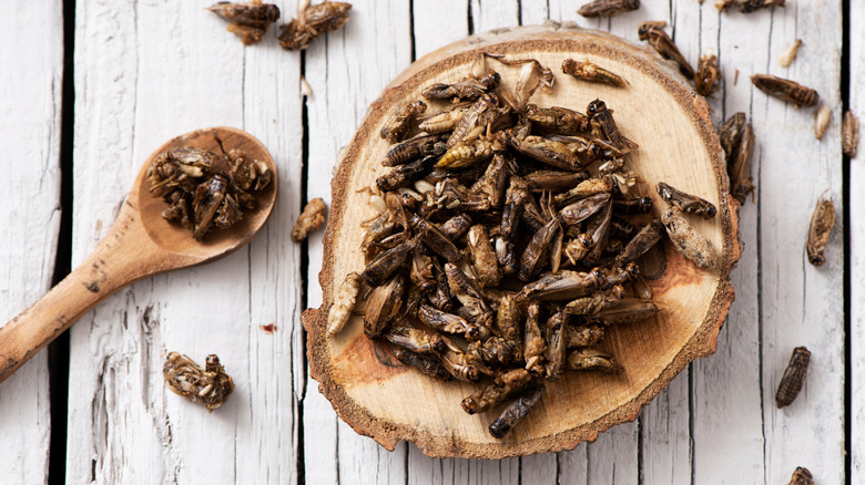 Fried crickets on wooden board