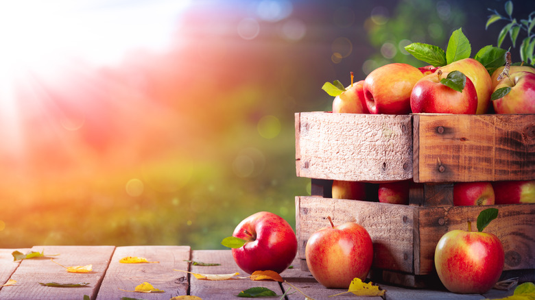 Crate of apples