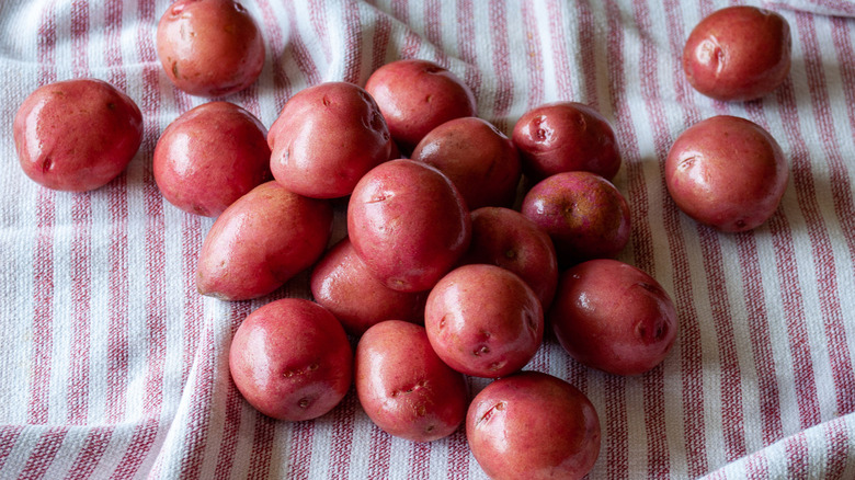 freshly cleaned baby red potatoes on a striped dish towel