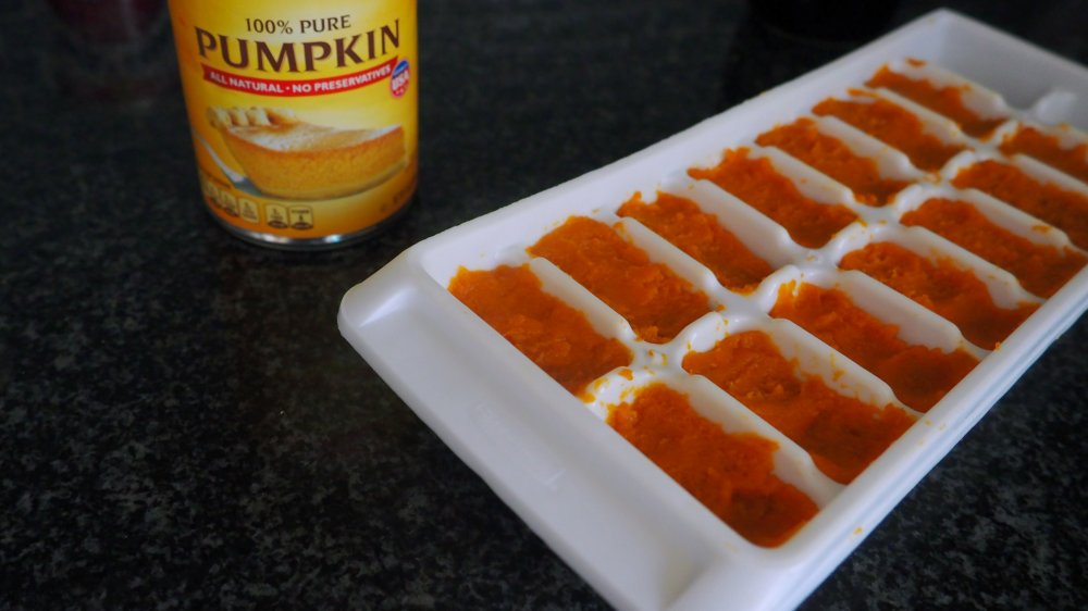 how to freeze pumpkin puree in ice cube trays for 3-ingredient pumpkin hummus