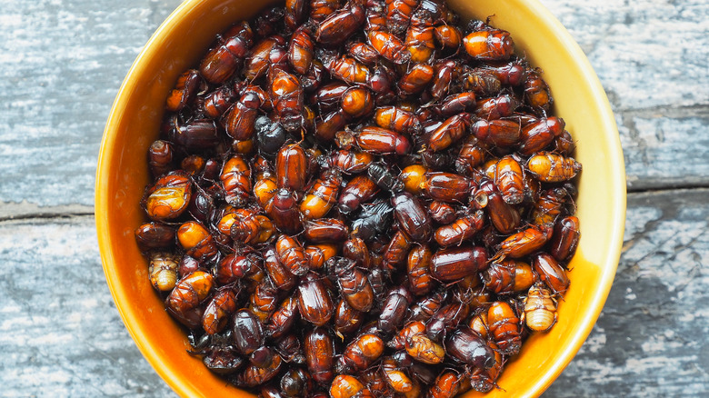 A bowl of deep-fried beetles