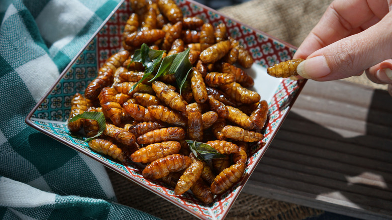 Deep-fried silkworms on a plate