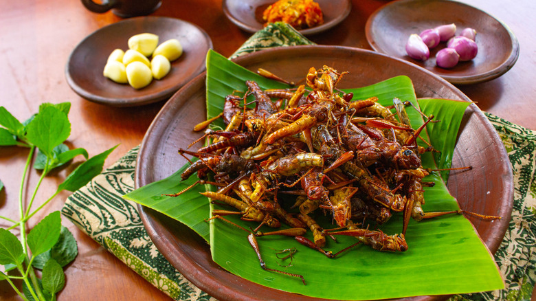 Fried grasshopper plated over decorative leaves