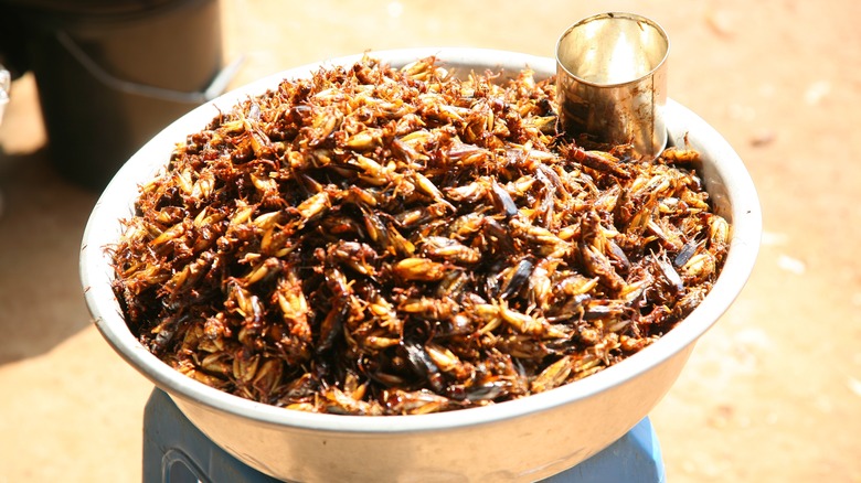 A bowl filled to the top with fried crickets