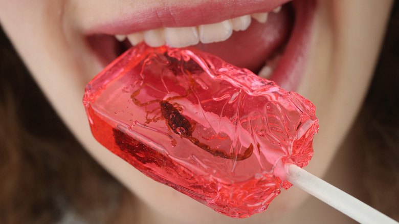 Scorpion encased in a lollipop being eaten