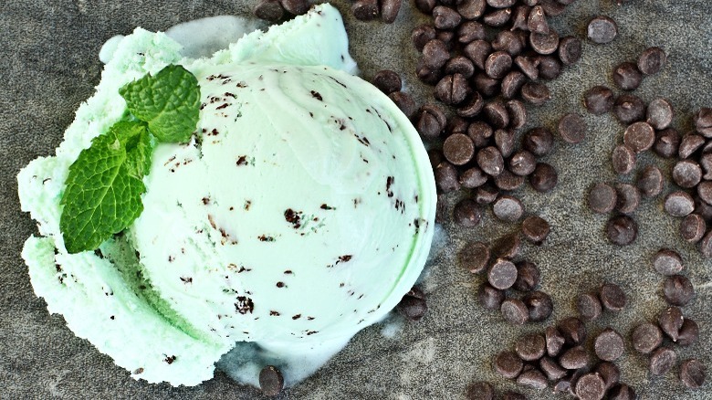 mint chocolate chip ice cream