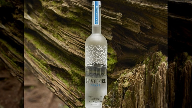 Belvedere