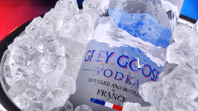 Grey Goose on ice