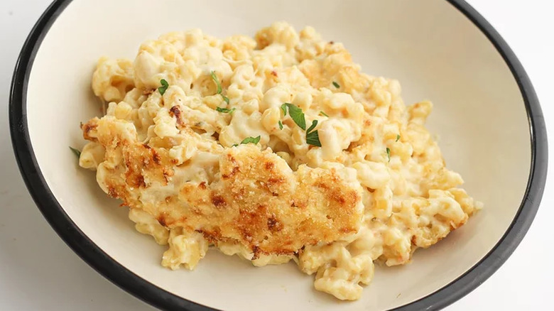 Macaroni and cheese on a white plate. 