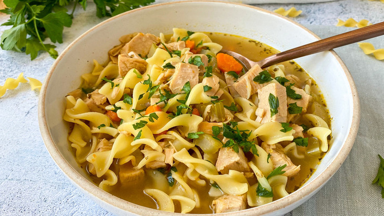 Shallow bowl of chicken and egg noodle soup. 