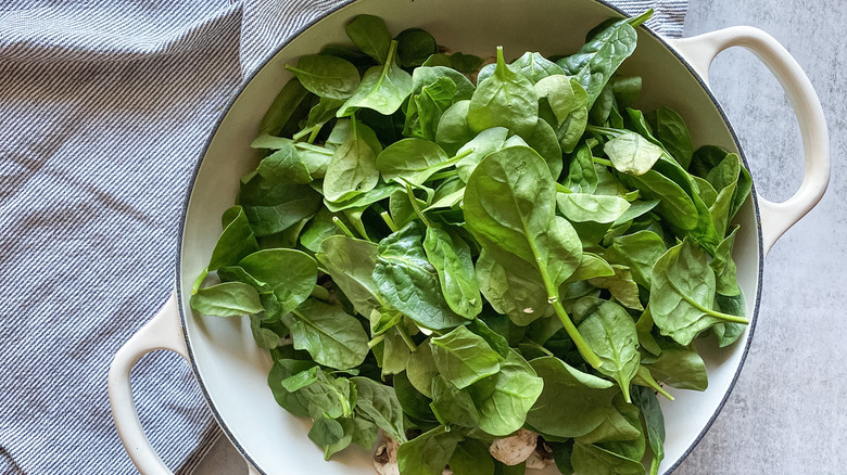 raw baby spinach in pot