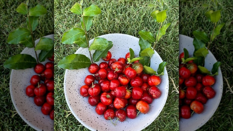 barbados cherries on a plate