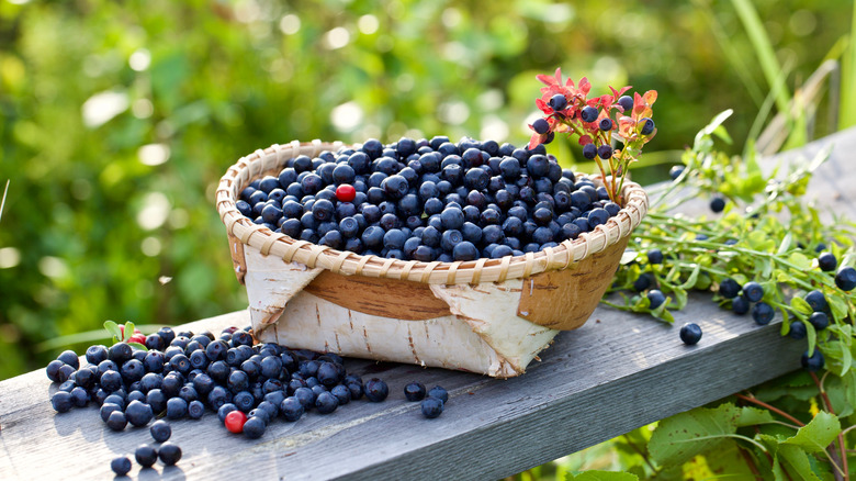 A bowl of bilberries