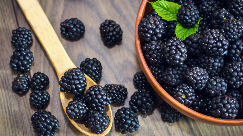 blackberries on a spoon and in a bowl