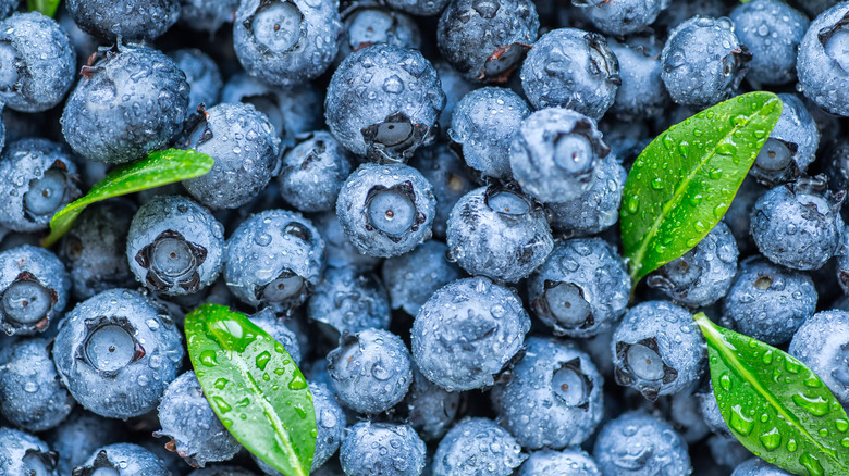 Fresh pile of blueberries