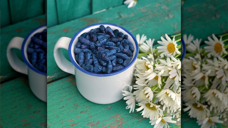 honeyberries in a cup