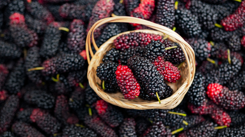 mulberries in a basket