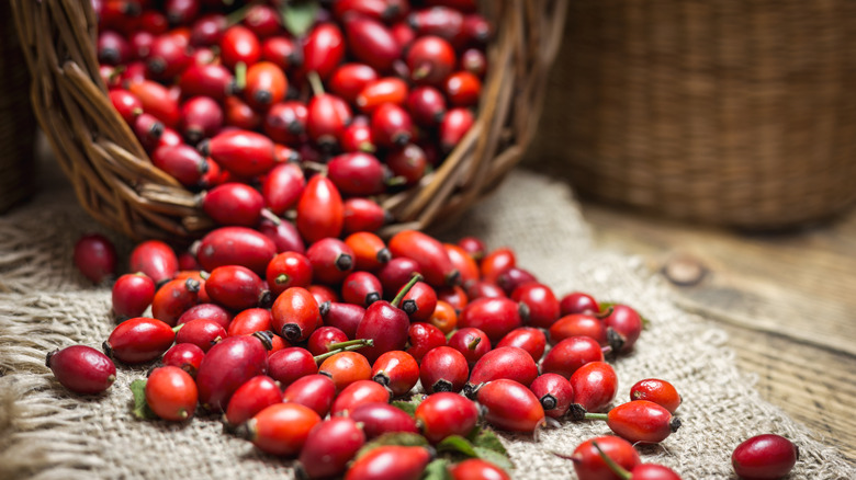 rose hips spilling out of basket