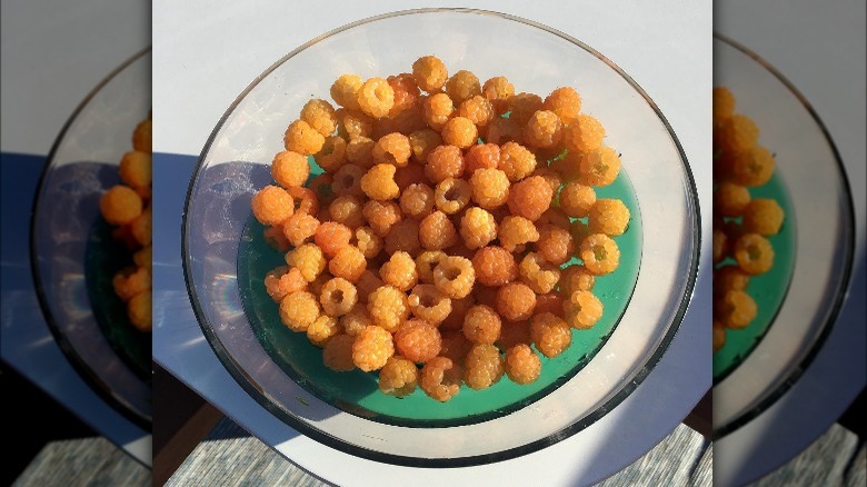 golden raspberries in a bowl