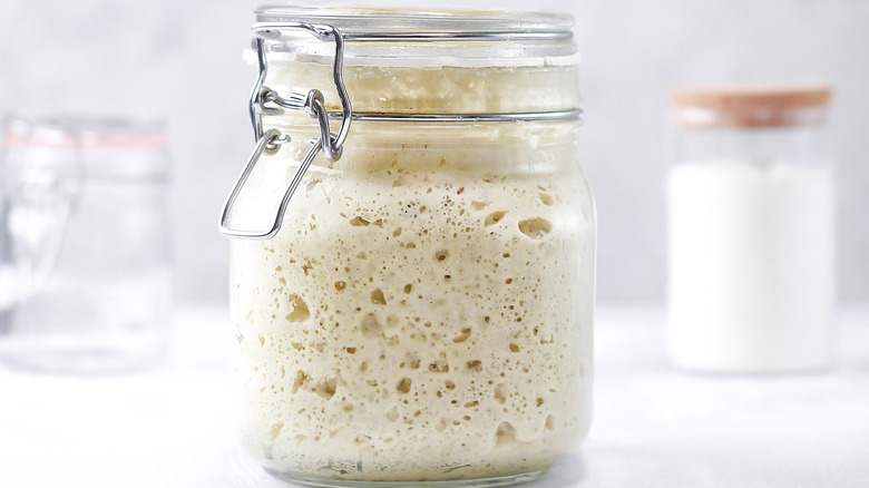 Sourdough starter in a jar