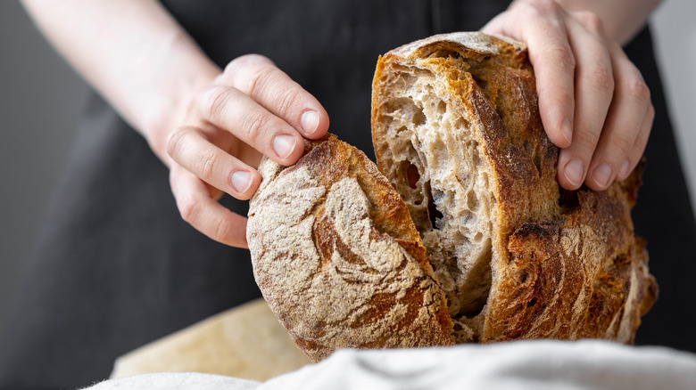 Whole wheat loaf being torn