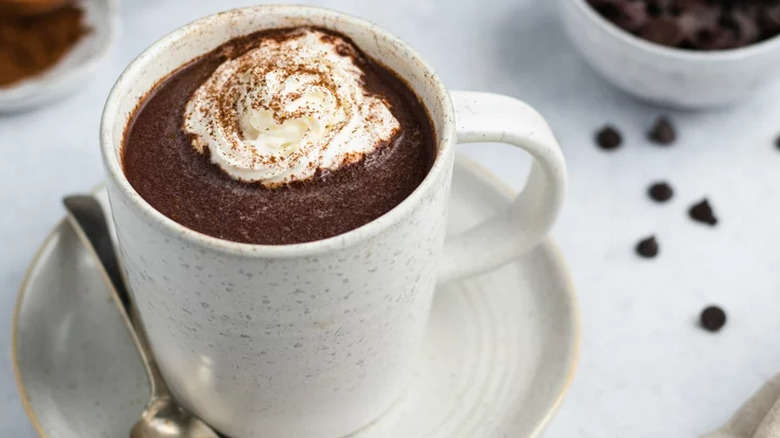 White mug of hot chocolate with spice dusting