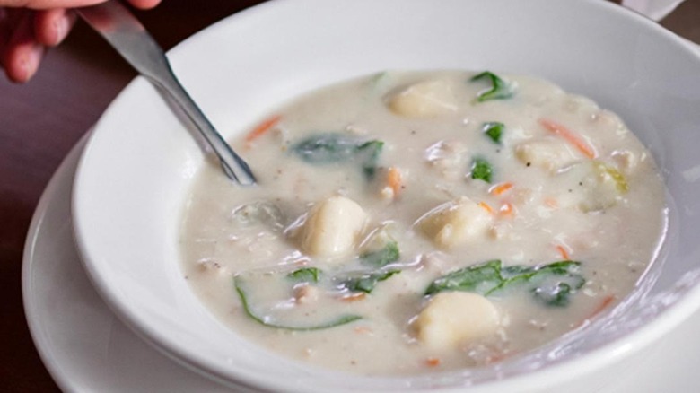 The Chicken and Gnocchi Soup