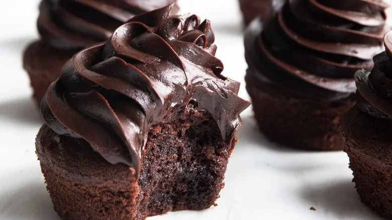 Chocolate cupcakes with chocolate frosting