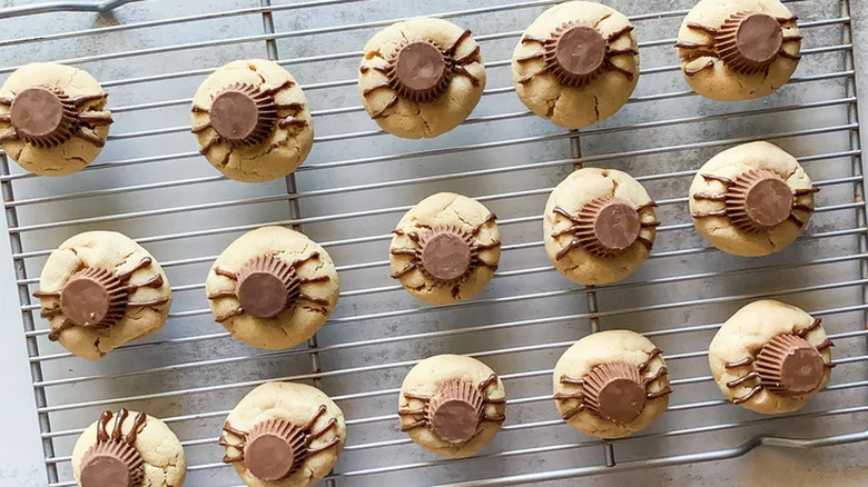 Round cookies topped with peanut butter cups