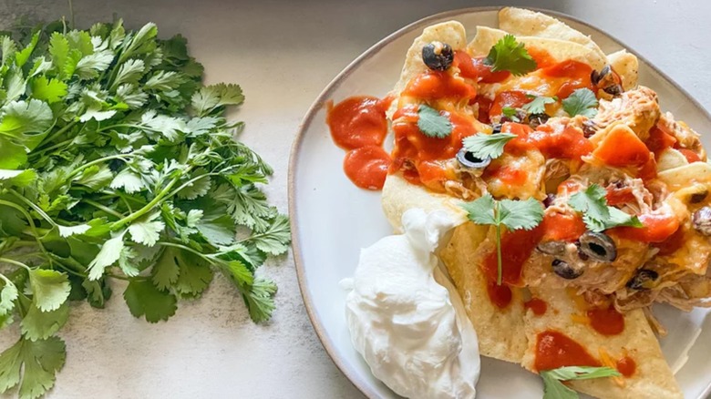 Creamy chicken nachos