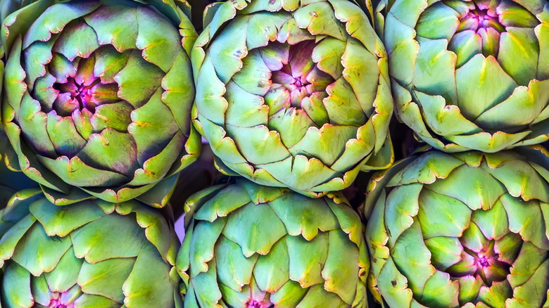 Close up of six artichokes