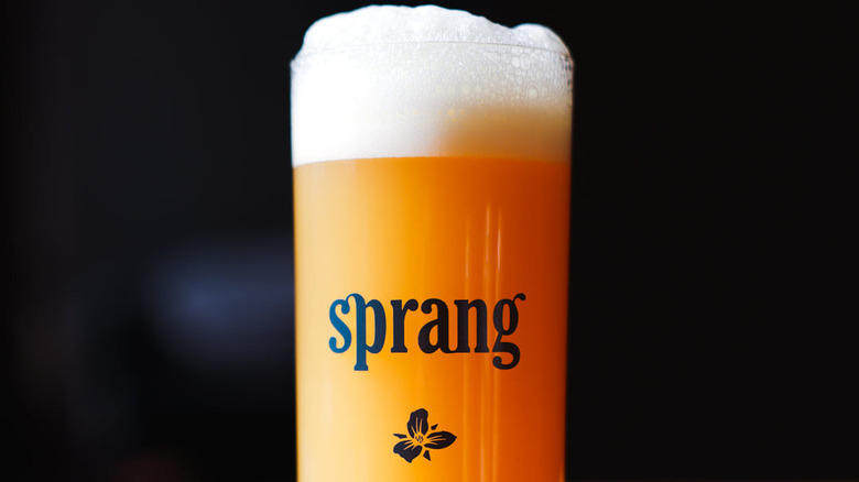 Sprang kölsch ale beer glass