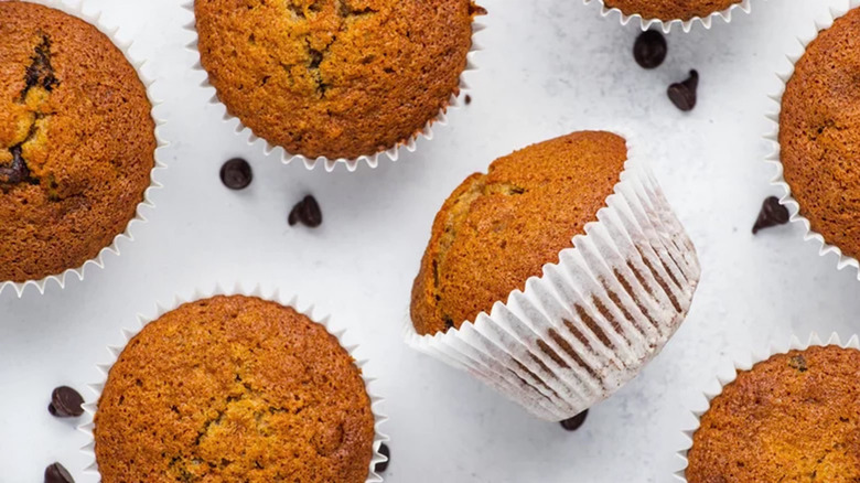 pumpkin chocolate chip muffins