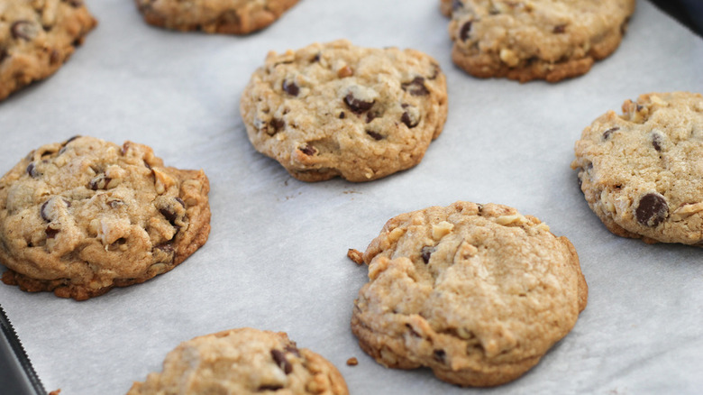 plate of chocolate chip cookies