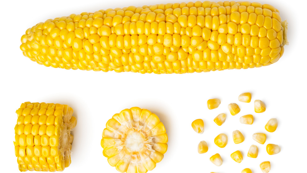 Corn ear, slices, and kernels