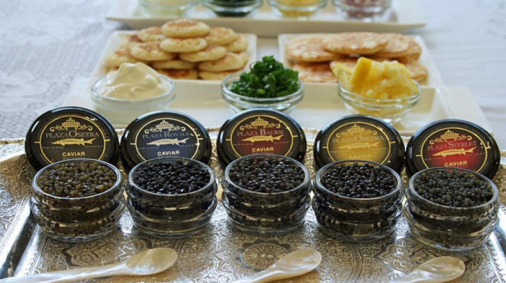 The Plaza Osetra Kilo Caviar Pack